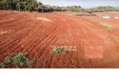 Sítio à venda, 726000 m² por r$ 0,01 - zona rural - cascavel/pr