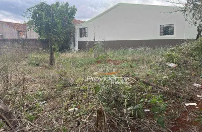 Terreno à venda, 389 m² por r$ 330.000 - universitário - cascavel/pr