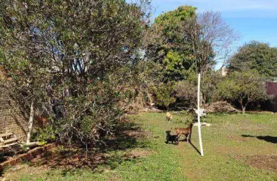 Terreno à venda, 590 m² por r$ 700.000,00 - parque são paulo - cascavel/pr