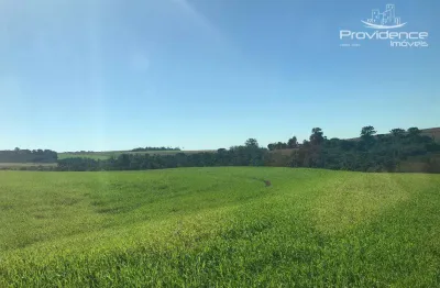 Sítio à venda, 3146000 m² por r$ 590.000,00 - rural - cascavel/pr