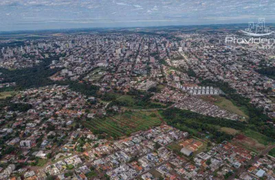 Terreno à venda, 20008 m² por r$ 20.000.000,00 - cancelli - cascavel/pr