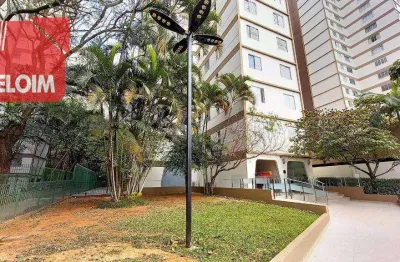 Apartamento à venda, 50 m² por r$ 350.000,00 - pirituba - são paulo/sp