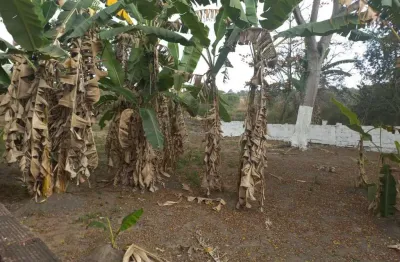 Casa para venda em itaboraí, morada do sol i (itambi), 2 dormitórios, 1 banheiro