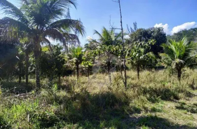 Área à venda, 15160 m² por r$ 600.000,00 - itapeba - maricá/rj