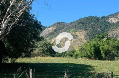 Área à venda, 36800 m² por r$ 3.000.000,00 - ubatiba - maricá/rj