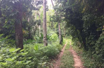 Área à venda, 16000 m² por r$ 2.500.000,00 - várzea das moças - niterói/rj