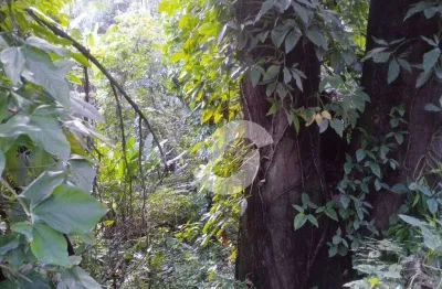 Terreno à venda, 795 m² por r$ 300.000,00 - engenho do mato - niterói/rj