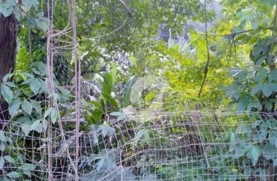 Terreno à venda, 832 m² por r$ 300.000,00 - engenho do mato - niterói/rj