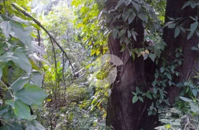Terreno à venda, 735 m² por r$ 300.000,00 - engenho do mato - niterói/rj