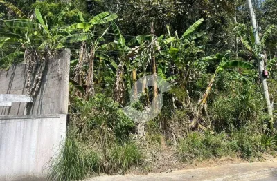 Terreno à venda, 1980 m² por R$ 100.000,00 - Várzea das Moças - Niterói/RJ