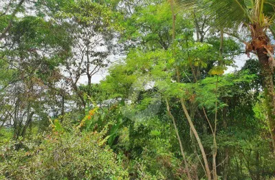 Sítio com 3 dormitórios à venda, 25000 m² por R$ 1.600.000,00 - Várzea das Moças - Niterói/RJ