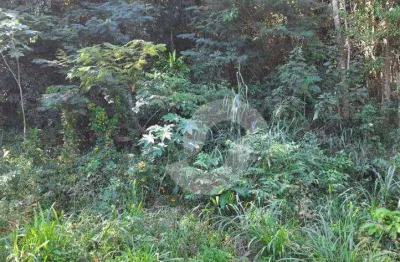 Terreno à venda, 450 m² por r$ 229.500,00 - engenho do mato - niterói/rj