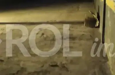 Barracão / galpão / depósito com 1 sala para alugar na rua conselheiro nébias, 1072, campos eliseos, são paulo, 980 m2 por r$ 28.000