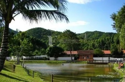 Casa em condomínio fechado com 3 quartos à venda na Avenida das Arapongas, 1265, Ariribá, Balneário Camboriú, 342 m2 por R$ 6.700.000