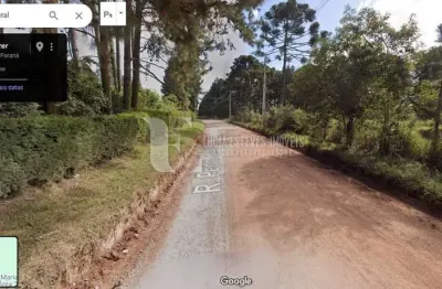 Terreno à venda na Rua Pedro Buhrer, 2275, Zona Rural, São José dos Pinhais, 20135 m2 por R$ 3.422.950