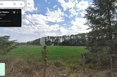 Terreno à venda na Rua Pedro Buhrer, 2275, Zona Rural, São José dos Pinhais, 20145 m2 por R$ 3.424.650