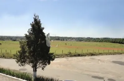 Terreno comercial à venda na rua padre leopoldo jarek, campo largo da roseira, são josé dos pinhais, 128000 m2
