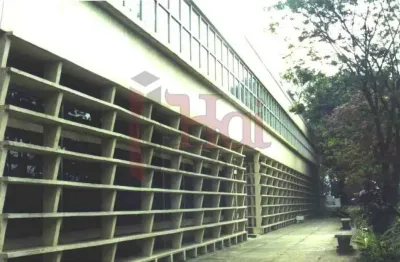 Barracão / Galpão / Depósito para alugar no Jardim Santa Cruz (Sacomã), São Paulo 