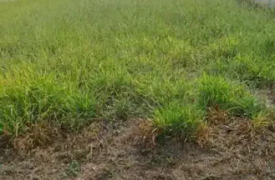 Terreno à venda na rua luiz levorato, jardim marabá, bauru, 450 m2 por r$ 250.000