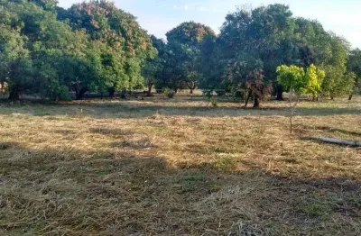 Chácara / sítio com 1 quarto à venda na rua tamoios, chácaras bauruenses, bauru, 5000 m2 por r$ 280.000