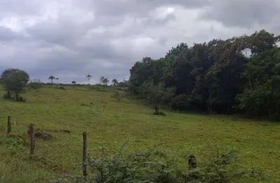 Terreno à venda no Porto Grande, Araquari 