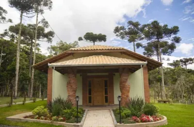 Chácara / sítio à venda no Centro, Campo Alegre 