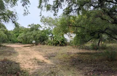 Terreno à venda, 11701 m² por r$ 250.000,00 - planalto nossa senhora da conceição - conde/pb