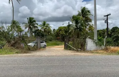 Chácara / sítio com 2 quartos à venda no Centro, Alhandra 