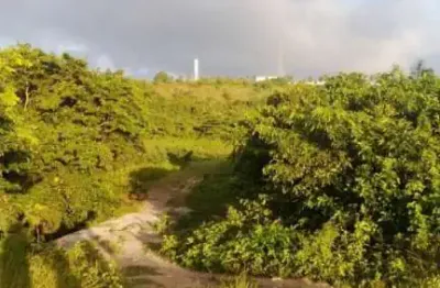 Fazenda com 3 dormitórios à venda, 4777 m² por r$ 4.000.000,00 - centro - conde/pb
