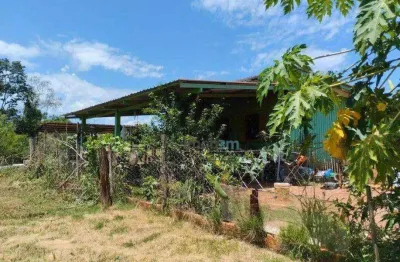 Chácara com 3 dormitórios à venda, 16 m² por r$ 750.000,00 - usina três bocas - londrina/pr