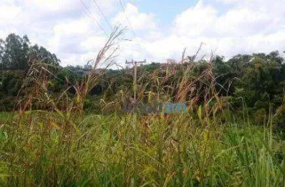 Terreno à venda, 3370 m² por r$ 260.000 - património regina - londrina/pr
