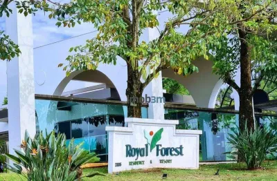 Casa com 3 dormitórios para alugar, 200 m² por r$ 8.500/mês - royal forest - londrina/pr