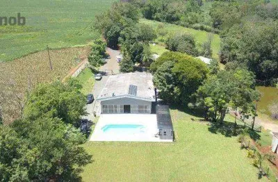 Chácara com 3 dormitórios à venda, 36000 m² por r$ 2.500.000,00 - gleba palhano - londrina/pr