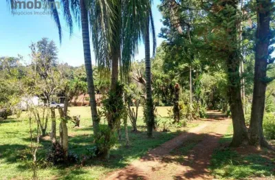 Chácara com 2 dormitórios à venda, 4000 m² por r$ 1.170.000,00 - patrimônio regina - londrina/pr