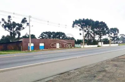 Chácara / sítio com 5 quartos à venda no Chapada, Ponta Grossa 