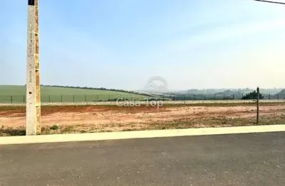 Terreno à venda no Jardim Carvalho, Ponta Grossa 