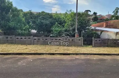 Terreno à venda no Nova Rússia, Ponta Grossa 