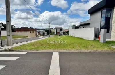 Terreno à venda no Contorno, Ponta Grossa 