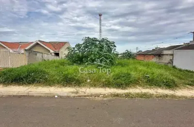 Terreno à venda no Cará-cará, Ponta Grossa 