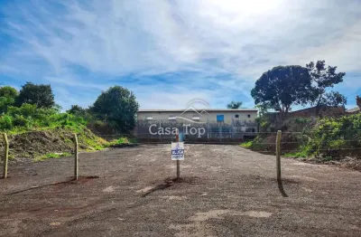 Terreno comercial para alugar no Piriquitos, Ponta Grossa 