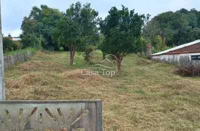 Terreno à venda no Vila São João, Irati 