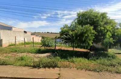 Terreno à venda no Piriquitos, Ponta Grossa 