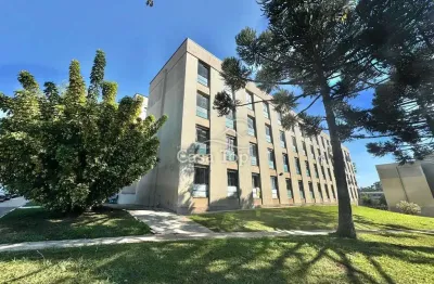 Apartamento para alugar condomínio monteiro lobato - jardim carvalho