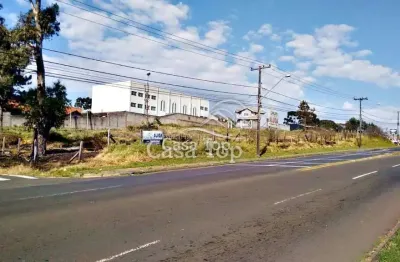 Terreno comercial para alugar no Jardim Carvalho, Ponta Grossa 