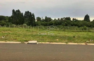 Terreno à venda no Contorno, Ponta Grossa 