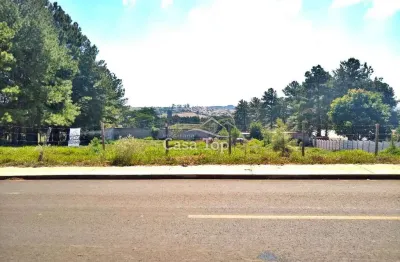 Terreno à venda no Colônia Dona LuÍza, Ponta Grossa 