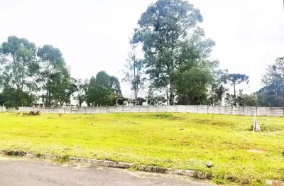 Terreno à venda no Jardim Carvalho, Ponta Grossa 