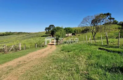 Fazenda à venda,80 alqueires, zona rural de flor da serra do sul