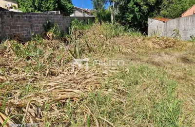 Excelente oportunidade, bairro seminário, francisco beltrao - pr.