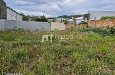 Lote rua curitiba - excelente  para ponto comercial - aterrado